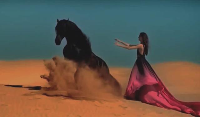 1613619991277092831.jpg Andreea Sasu (29).jpg